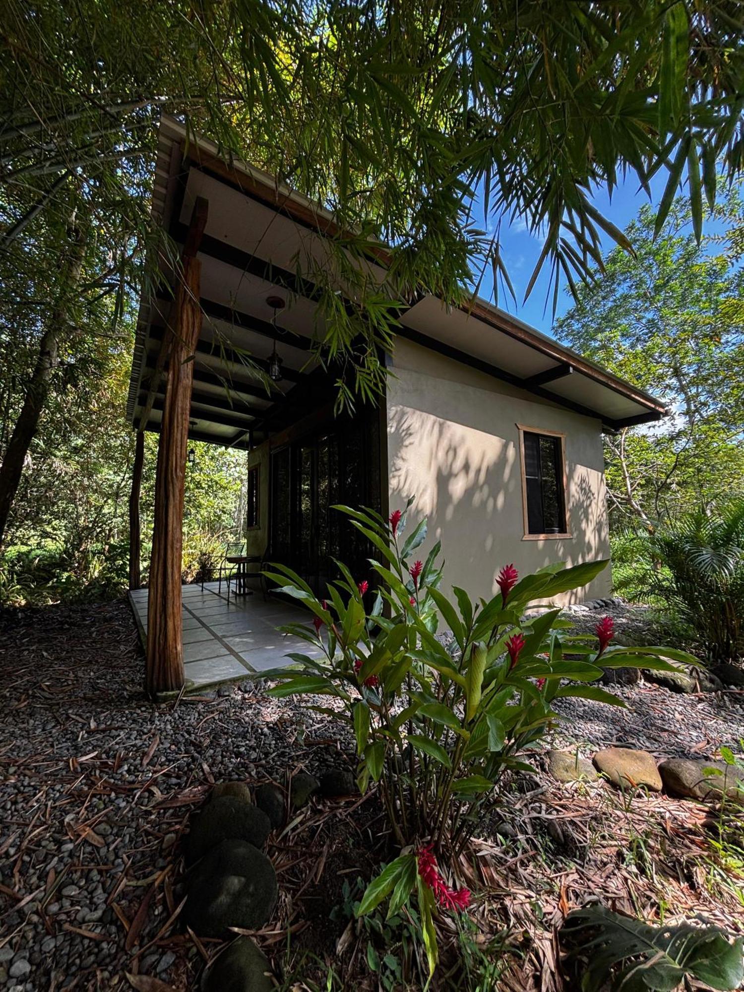Bamboo River Lodge Horquetas 외부 사진